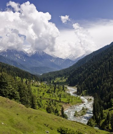 kashmir